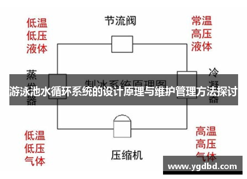 游泳池水循环系统的设计原理与维护管理方法探讨